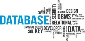 Word cloud for database