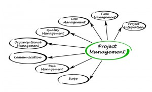 Project management and risks