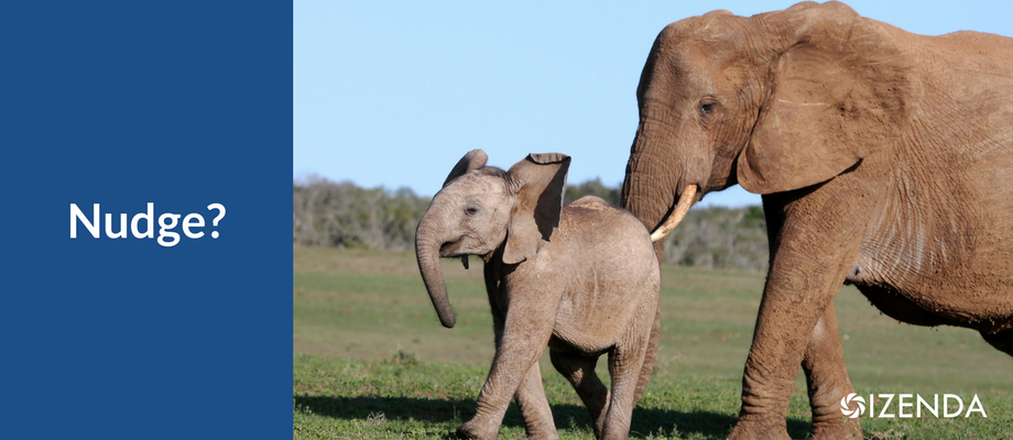 mama and baby elephant