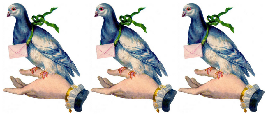 vintage illustration of a woman's hand holding a carrier pigeon with a letter