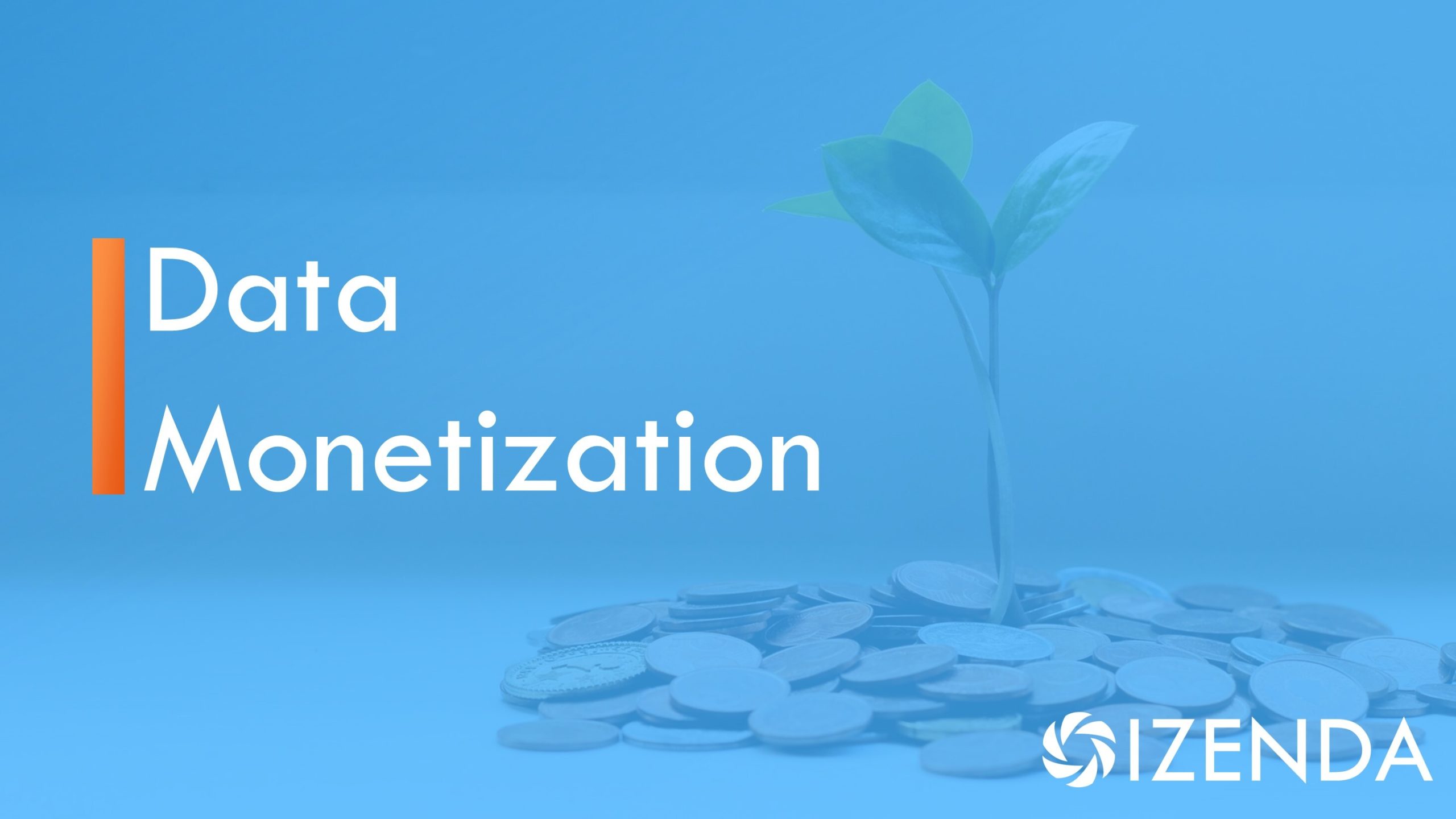 a guide to data monetization