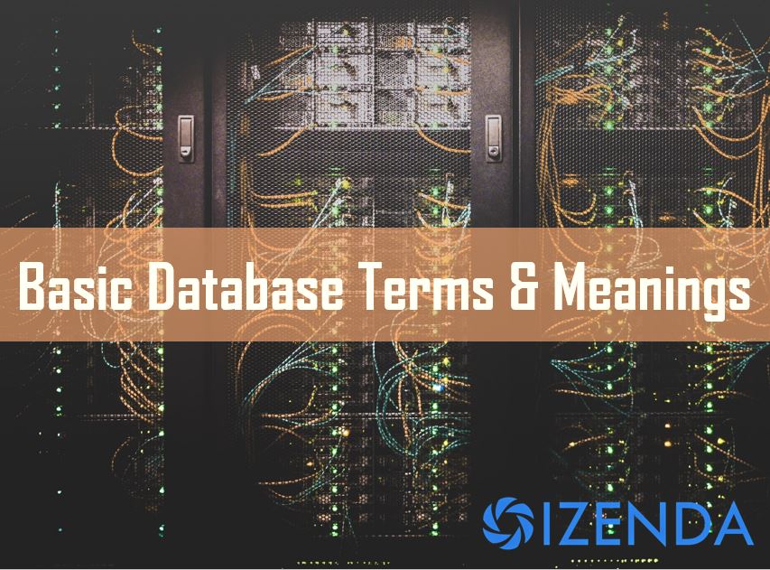 basic database terms and meanings