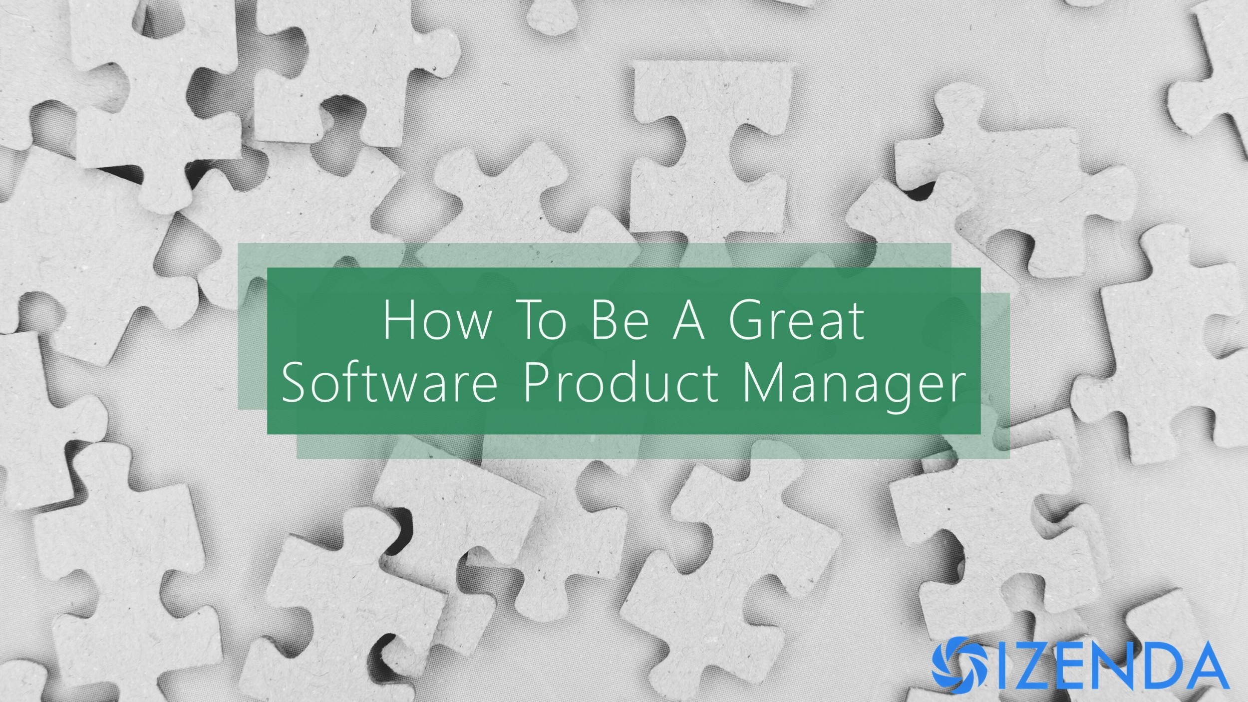 how to be a great software product manager