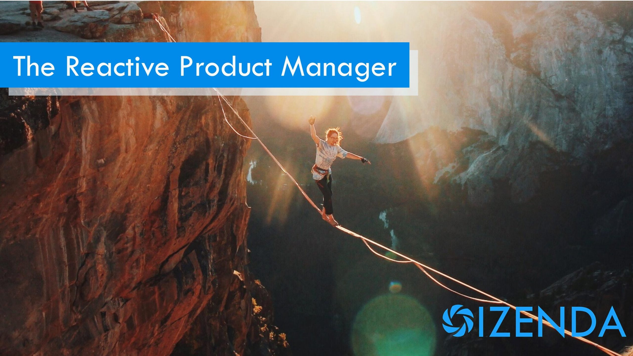 the reactive product manager